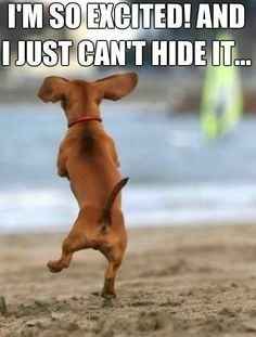 GUYS!!!!! HE GOT THE JOB!