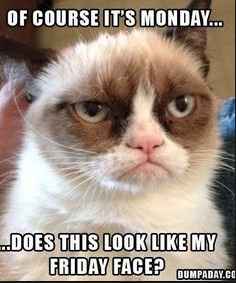 NWR: Need to see some funny memes! Stressed at work.