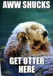 Cranky Pants Monday