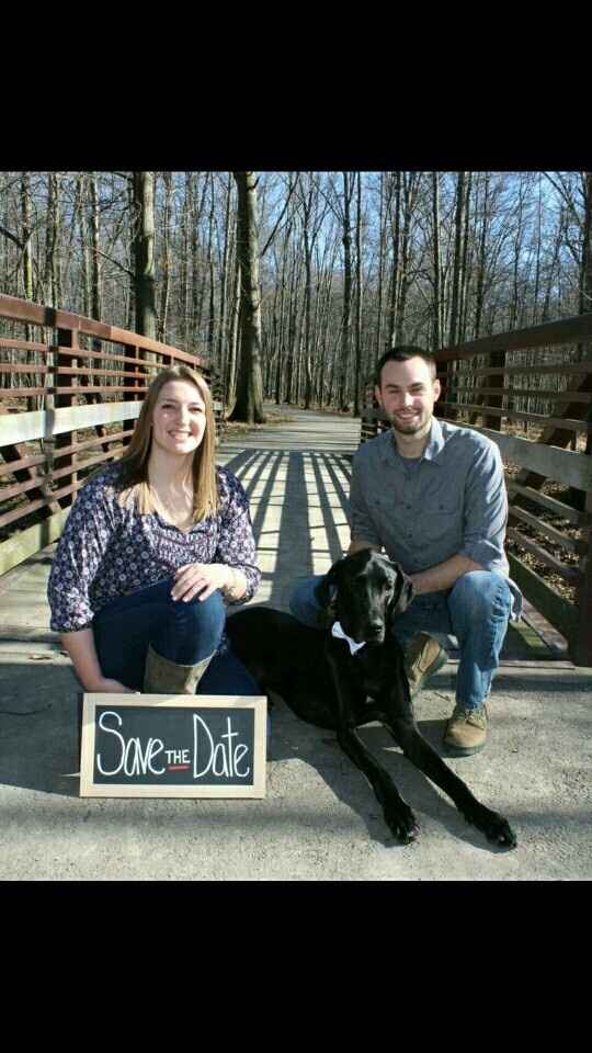 Engagement pictures with doggies