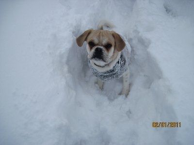 NWR - Furbabies :)