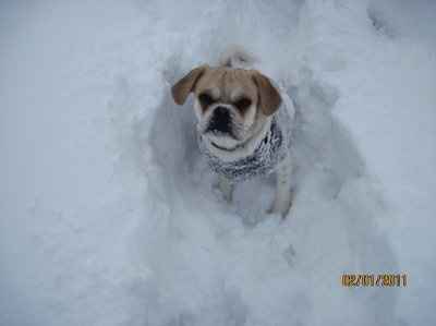 NWR - Furbabies :)