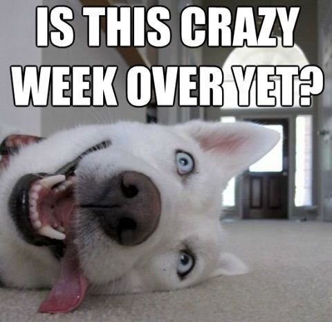 Give me your best 'It's (almost) the weekend!!!' face