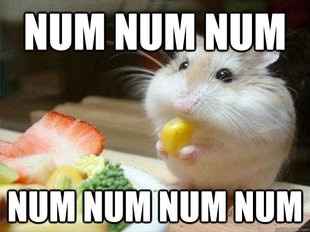 What's on the menu?