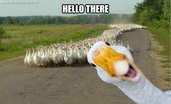 So many new people...introduction