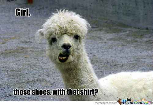 The alpaca thread is gone