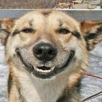 1 or 2 carats...really?!? Sort of Venting