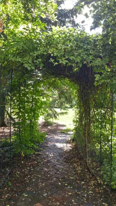 1 year until our wedding! - 1