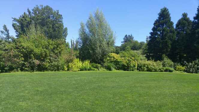 1 year until our wedding! - 4