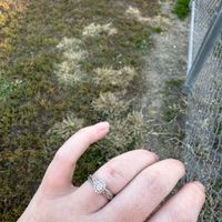 2023 Brides - Show us your ring! - 1