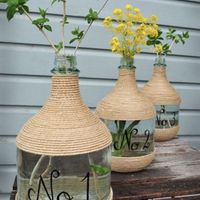 Needing Ideas: Large Empty Wine Jugs - 1