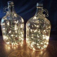 Needing Ideas: Large Empty Wine Jugs - 2