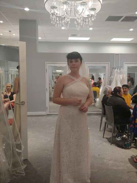 i picked my dress!! - 1