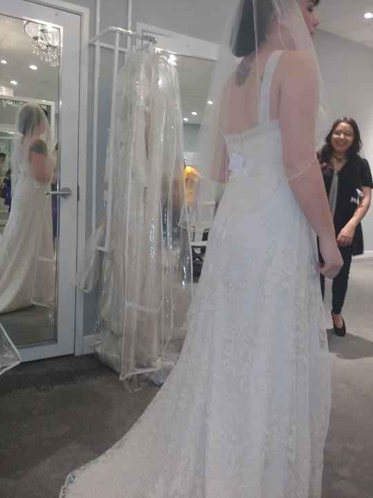 i picked my dress!! - 2