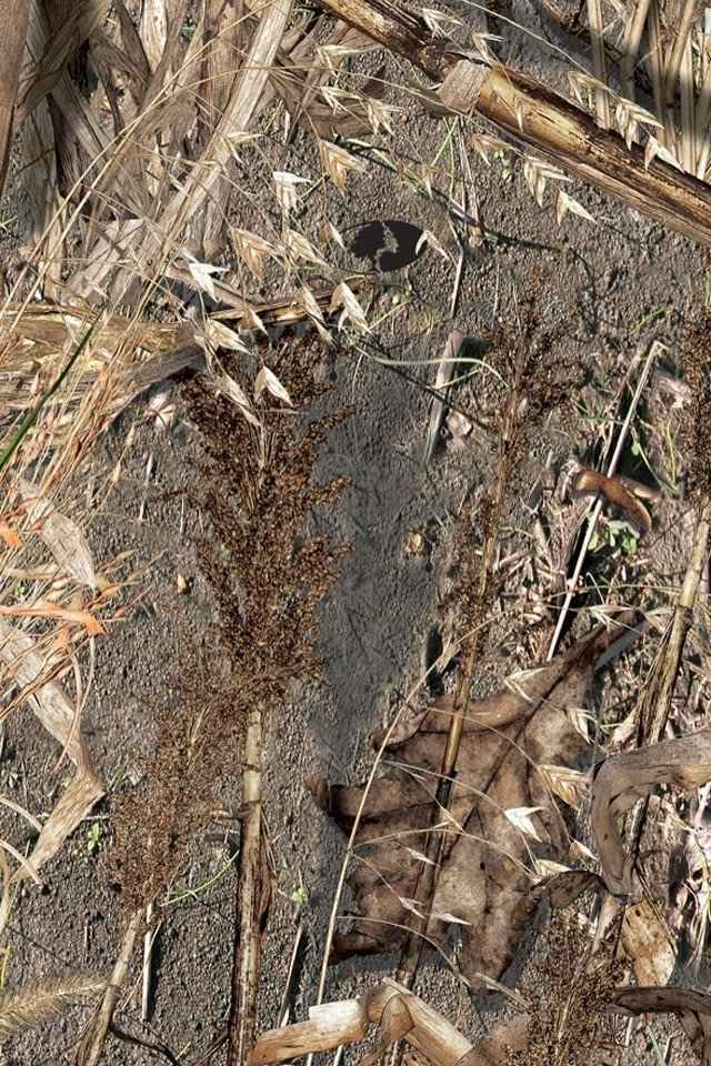 What kind of bride are you????