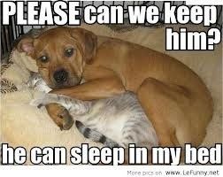 NWR- Hump Day Humor
