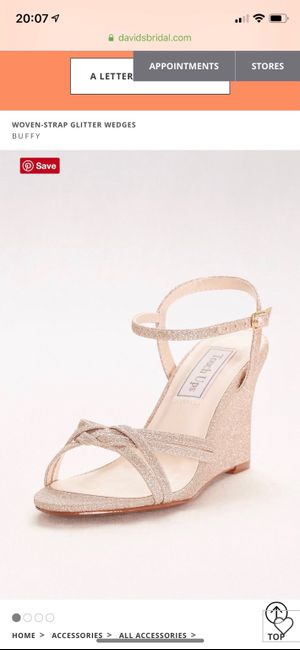 Wedding Day/bridal Shower Shoes - 1