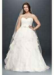 Birdcage veil with a ballgown? - 1