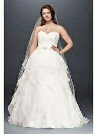 Birdcage veil with a ballgown? - 1