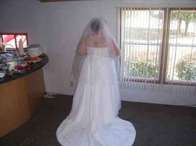 Pics in my dress :) (Pic heavy)