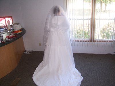 Pics in my dress :) (Pic heavy)