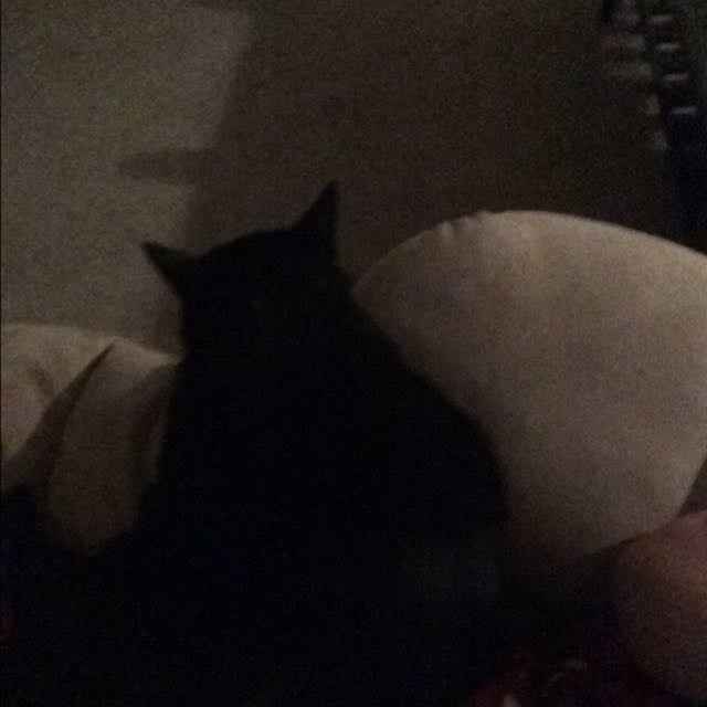 NWR: Any other nurses out there?