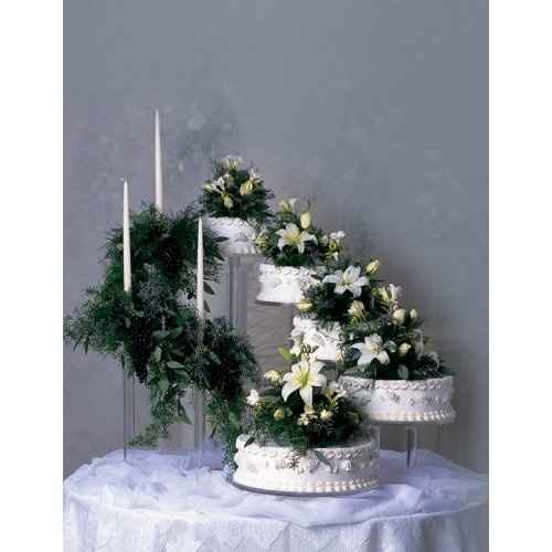 I Need Help Deciding on Our Cake Decision