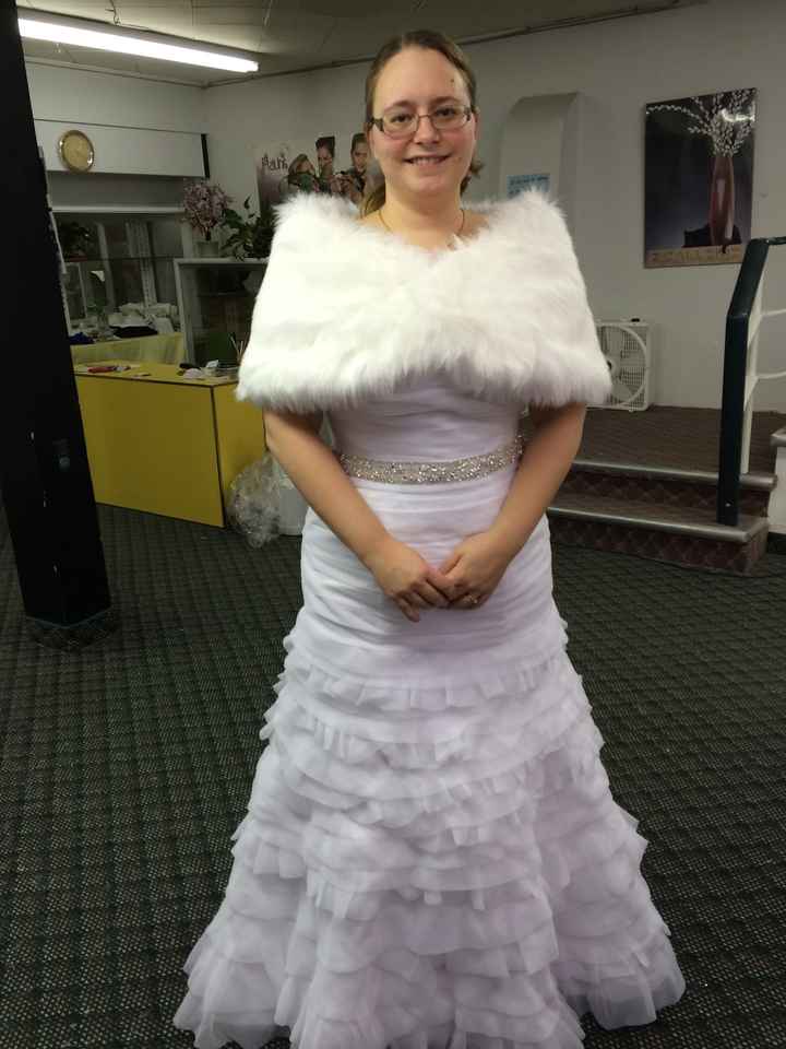 My Dress Finally Arrived!