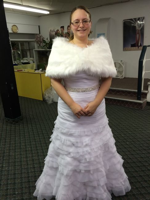 My Dress Finally Arrived!