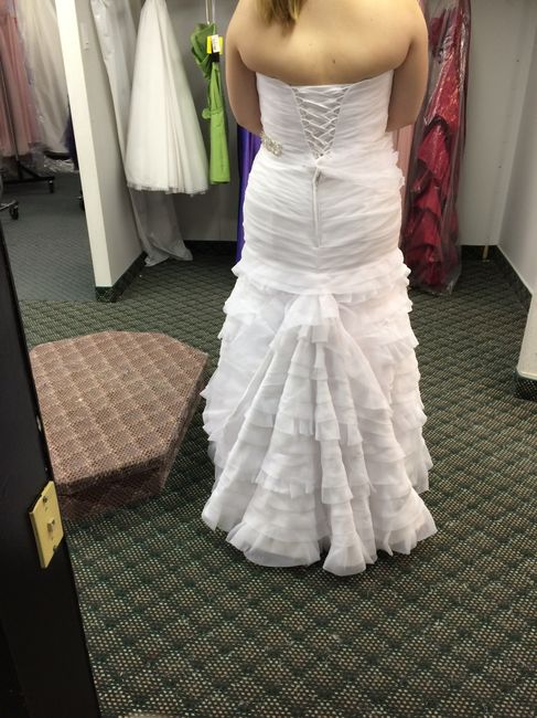 My Dress Finally Arrived!