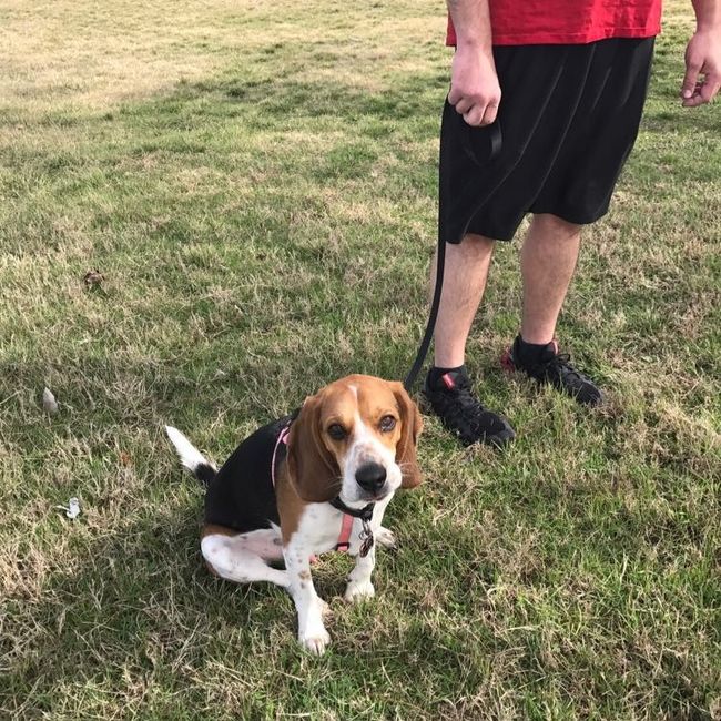 NWR: Show me your pups!