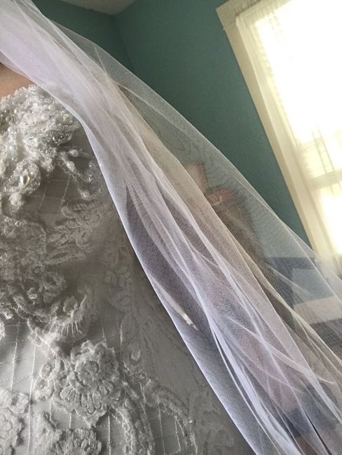 Veil color with Dress - 1