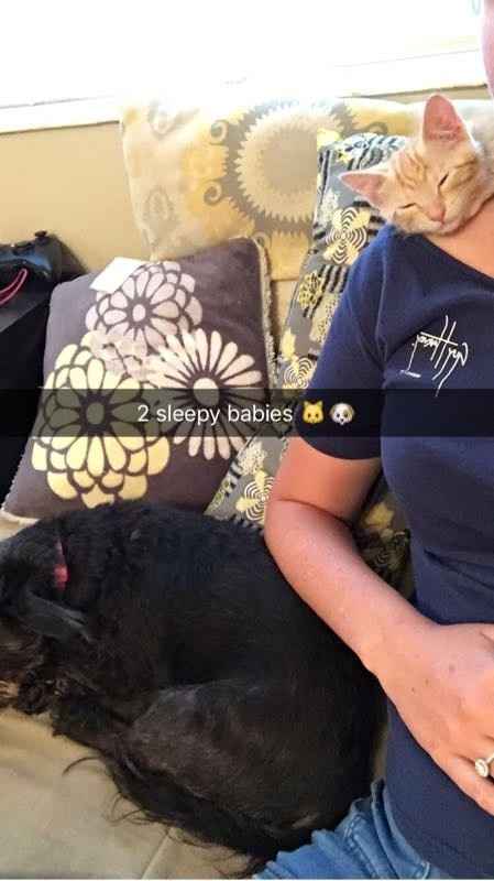 NWR - Pet pictures