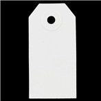 Escort Card Frames- DIY!