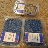 Dessert buffet supplies!