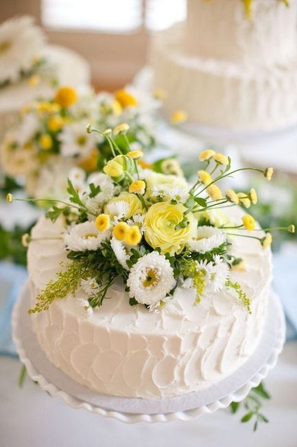 Let me see your cakes