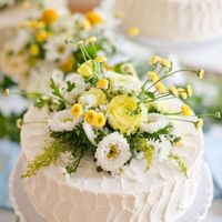 Let me see your cakes