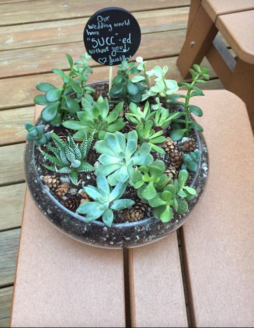 Potted plants at reception? 3
