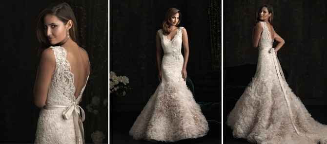 Got my dress!  Veil or no veil?