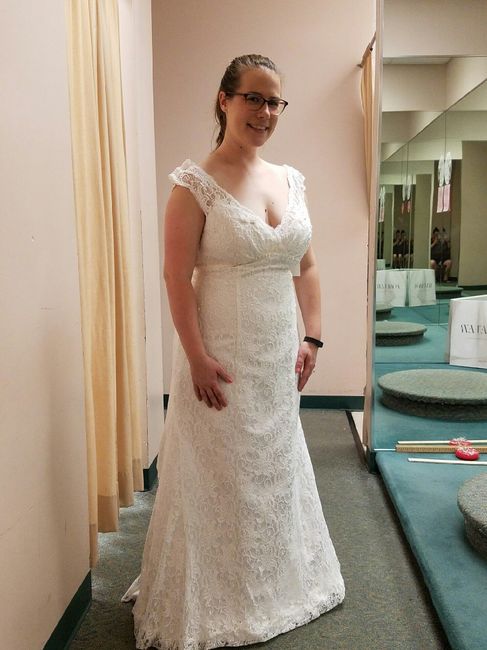 Wedding Dress fitting!