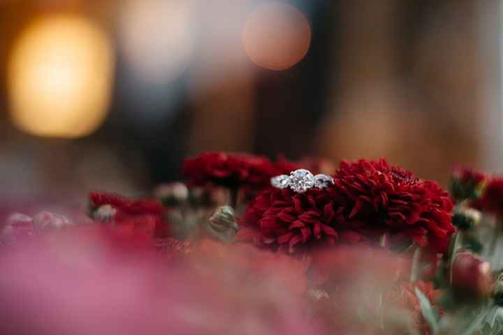 Engagement pictures are in!