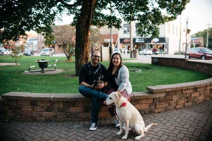 Engagement pictures are in!