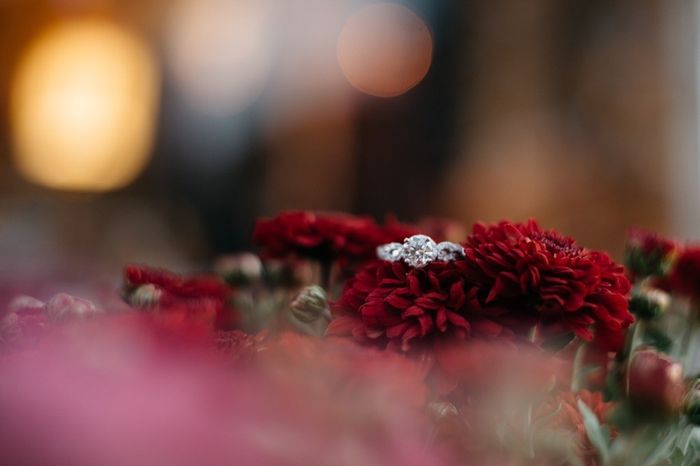 Engagement pictures are in!