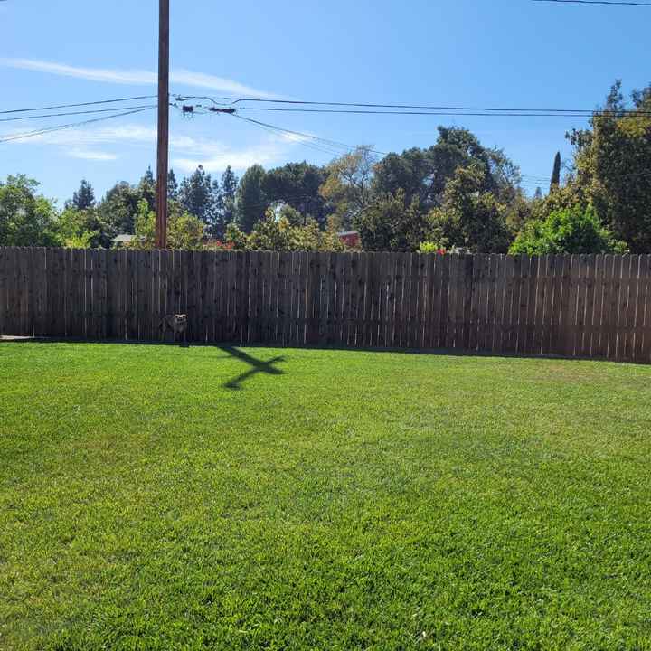 diy Backyard Wedding Woodwork - 2