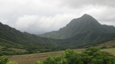 Hawaiian Honeymoon **pics**