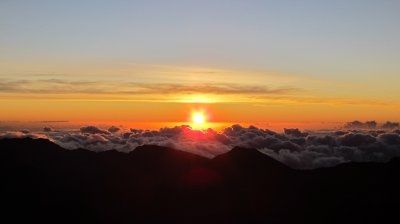Hawaiian Honeymoon **pics**