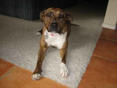 NWR: Lets see our pets!!