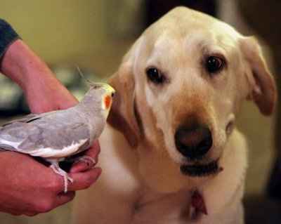 NWR: Lets see our pets!!