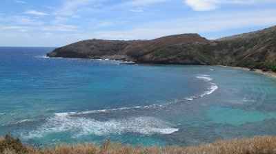 Hawaiian Honeymoon **pics**
