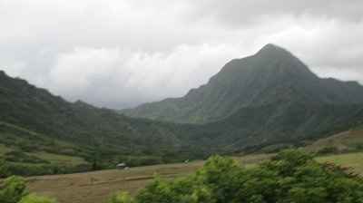 Hawaiian Honeymoon **pics**